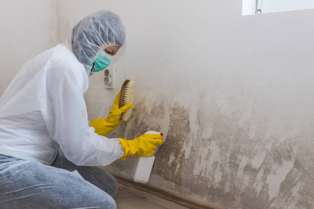 Best HVAC Mold Remediation in Big Lake, WA