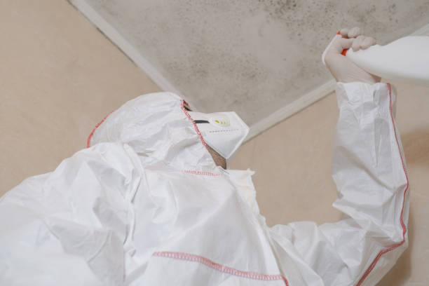 Best Mold Remediation for Schools in Big Lake, WA