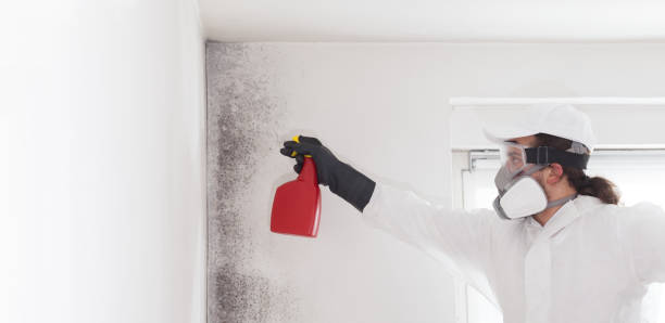 Best Residential Mold Remediation in Big Lake, WA