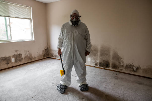 Best Residential Mold Remediation in Big Lake, WA