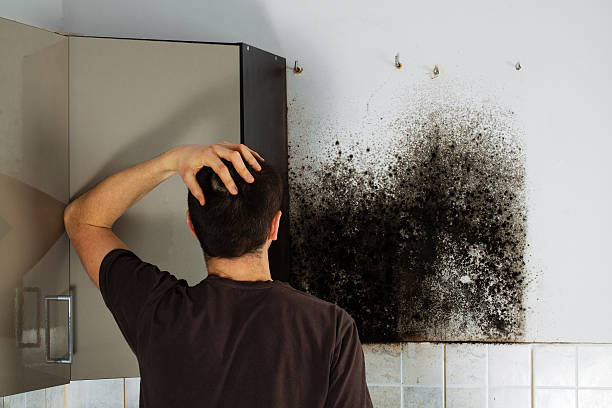 Best Emergency Mold Remediation in Big Lake, WA